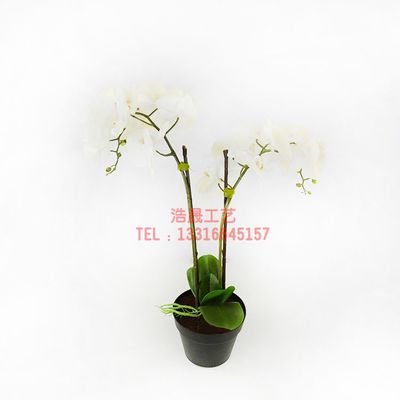 東莞廠家直銷，優質仿真盆栽裝飾，定制您的理想塑料植物盆景