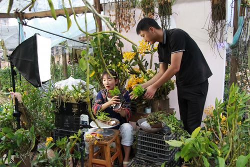 90后小伙解鎖電商密碼，云南龍陵花卉年銷突破千萬元